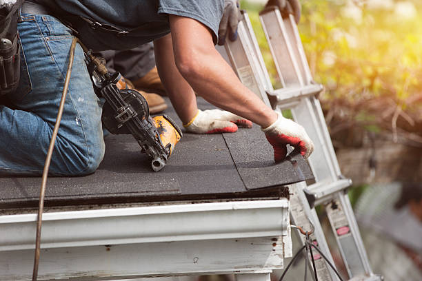 Best Roof Leak Repair  in Hurlock, MD