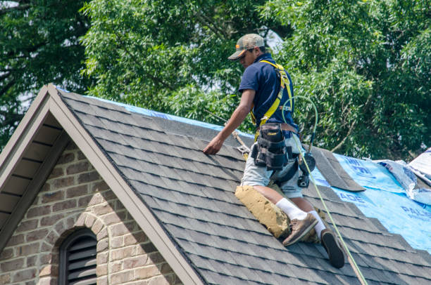 Tile Roofing Contractor in Hurlock, MD